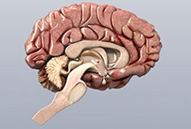 Beyin Metastazı Teşhis ve Tedavisi