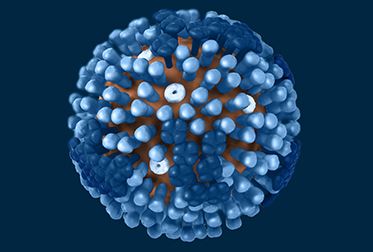Hpv Virüsü Nasıl Bulaşmaktadır