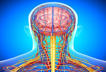 Magnetoterapinin Etkisi Nedir