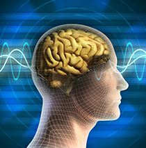 Nöbet Sırasında Yapılması Gerekenler