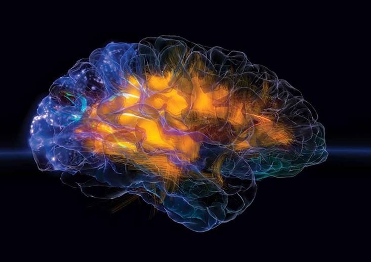 Tonik Ve Atonik Nöbetler